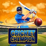 Cricket Champion